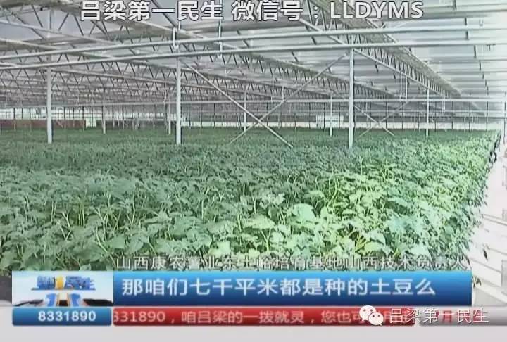 现代农业视频种植技术_农业视频种植技术网_现代化种植技术视频