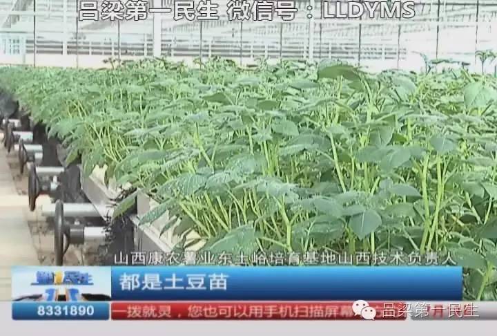 现代化种植技术视频_农业视频种植技术网_现代农业视频种植技术