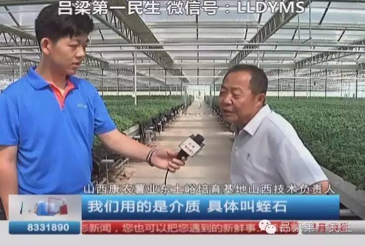 现代农业视频种植技术_农业视频种植技术网_现代化种植技术视频