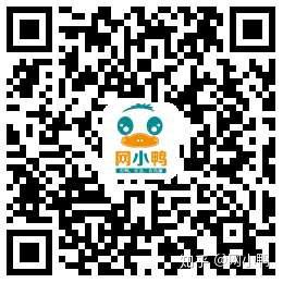 网床养鸭怎么样弄才好_蛋鸭舍网床怎样搭建_蛋鸭养殖网床养殖技术