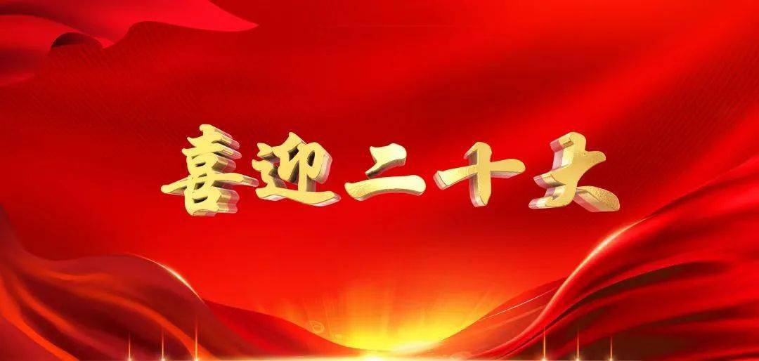 万亩大葱喜获丰收 “葱王”争霸展示风采