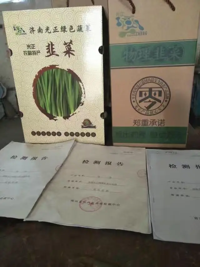 山东韭菜种植基地_山东韭菜的种植技术_山东韭菜怎么种