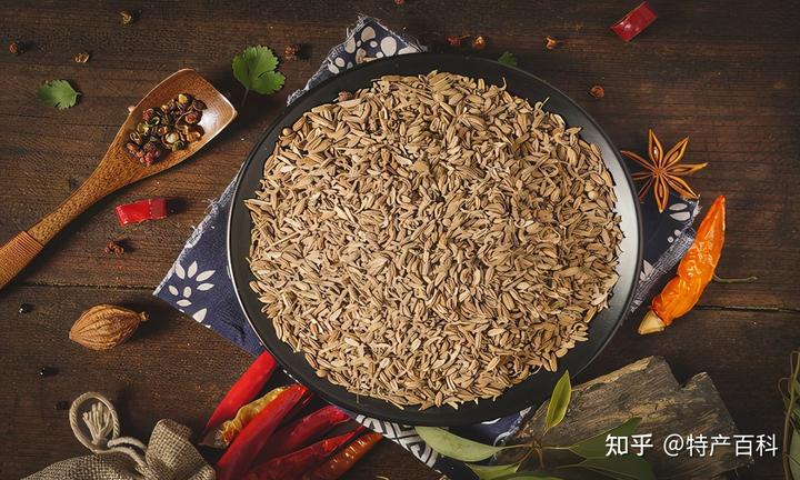 宁夏瓜亩产量一般是多少_宁夏网纹瓜种植技术_宁夏瓜有什么特征
