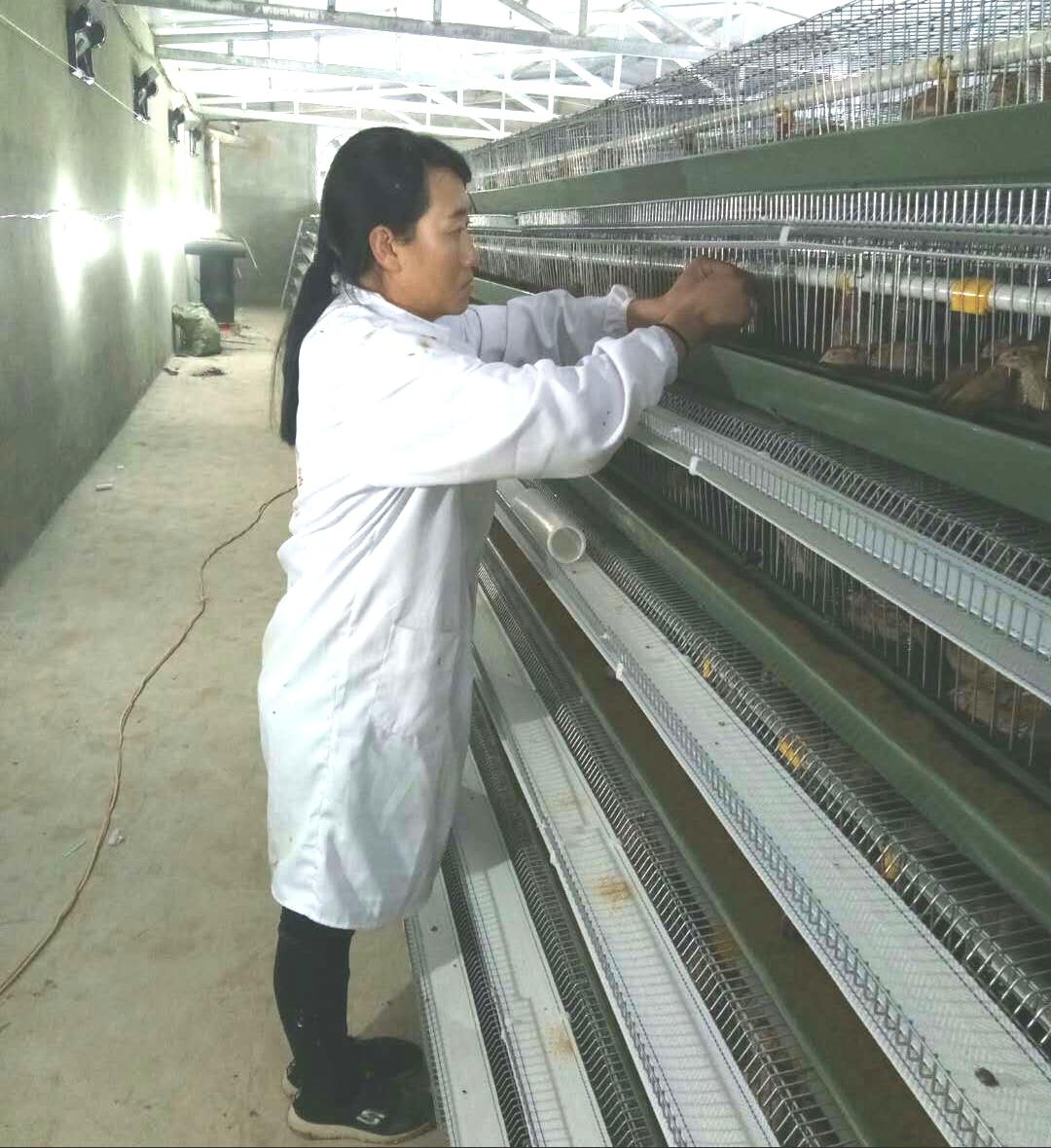 养殖致富的诗_养殖业做首诗_致富养殖语