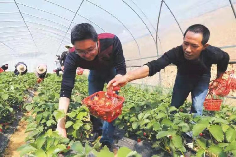 养殖致富的语句_养殖致富的诗_致富养殖语