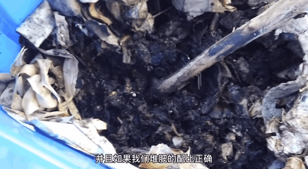姚伟种草莓致富经视频_致富经草莓_致富经种草莓尹淑萍