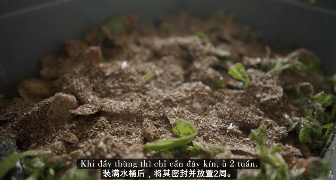姚伟种草莓致富经视频_致富经种草莓尹淑萍_致富经草莓