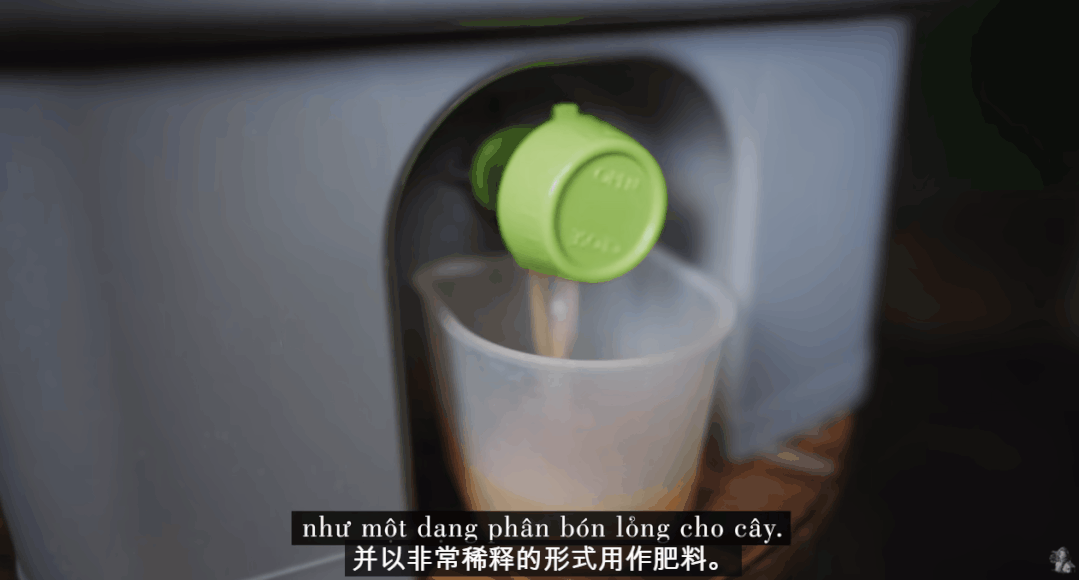 致富经种草莓尹淑萍_姚伟种草莓致富经视频_致富经草莓