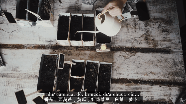 致富经种草莓尹淑萍_姚伟种草莓致富经视频_致富经草莓