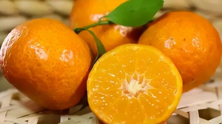 沙糖桔全年种植技术_种沙糖桔管理技术大全_沙糖桔种植技术视频