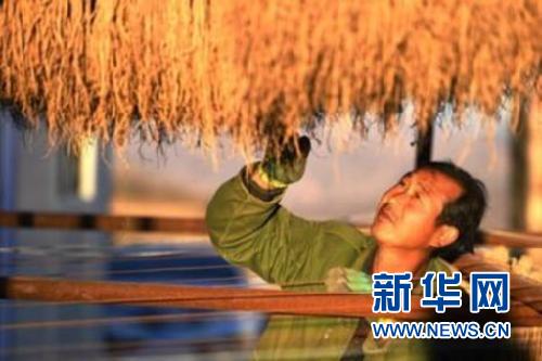 刘福生_致富经刘福生_致富经刘会平