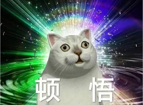 优质回答的经验和思路_思路优质回答经验的句子_回答问题思路清晰怎么说