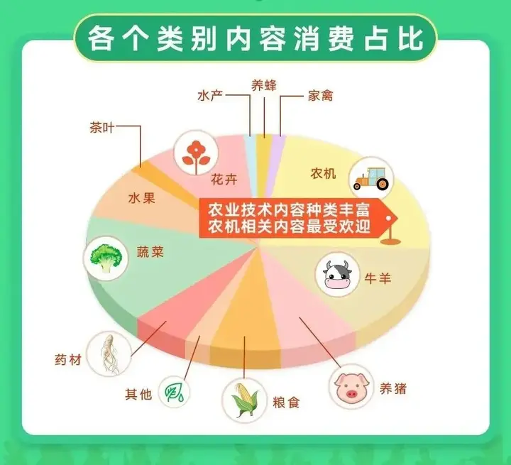 致富经种草莓尹淑萍_姚伟种草莓致富经视频_致富经草莓