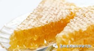 湿湿虫的养殖技术_湿虫治什么病_湿虫养殖技术视频