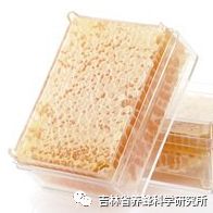 湿虫养殖技术视频_湿湿虫的养殖技术_湿虫治什么病