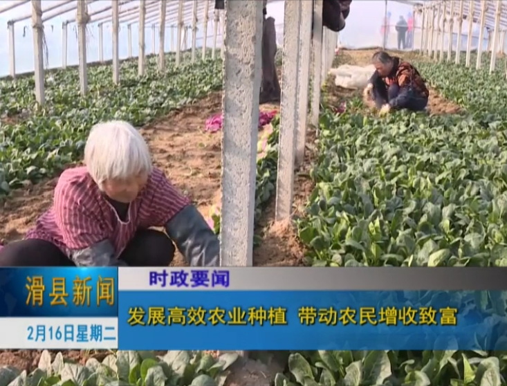 发展高效农业2.png