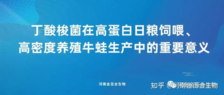 致富经养青蛙的中玉秀_致富经养青蛙的中玉秀_致富经养青蛙的中玉秀