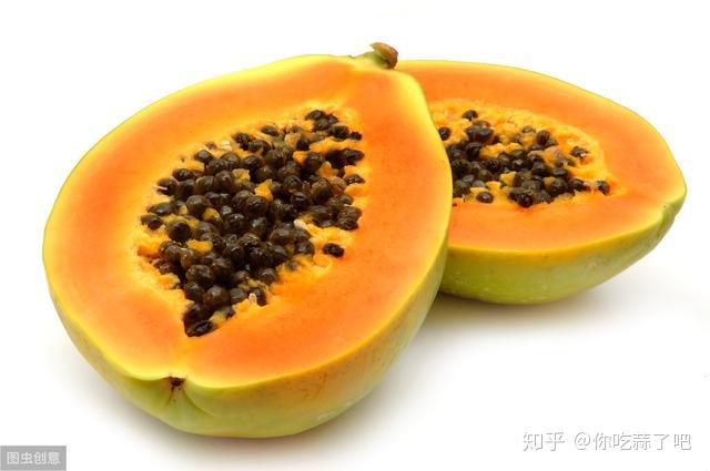 致富经林蛙养殖视频_林蛙养殖视频致富经_养殖林蛙赚钱吗