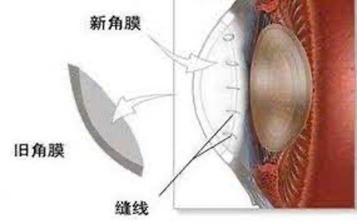 优质回答需要审核多久_优质回答是什么意思_领域优质回答经验分享