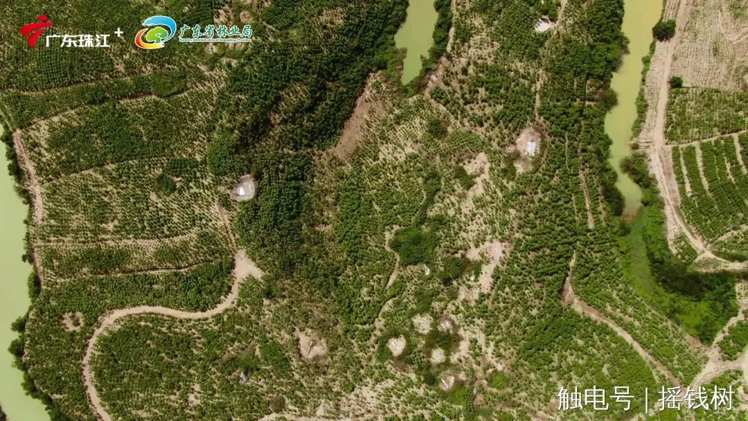致富500路_致富经 5000亩_致富经