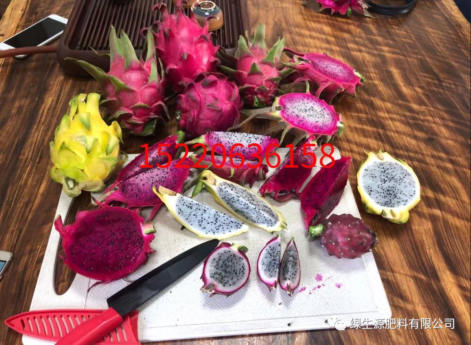 如何种植无花果树_无花果种植技术分解_无花果种植技术视频