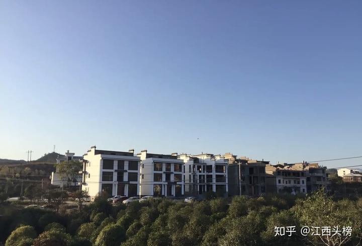 农村种植致富好项目_大棚樱桃种植成功致富案例_江西种植致富视频