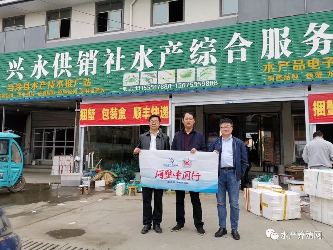 视频致富养青虾是真的吗_致富经养青虾视频_致富经青虾养殖视频