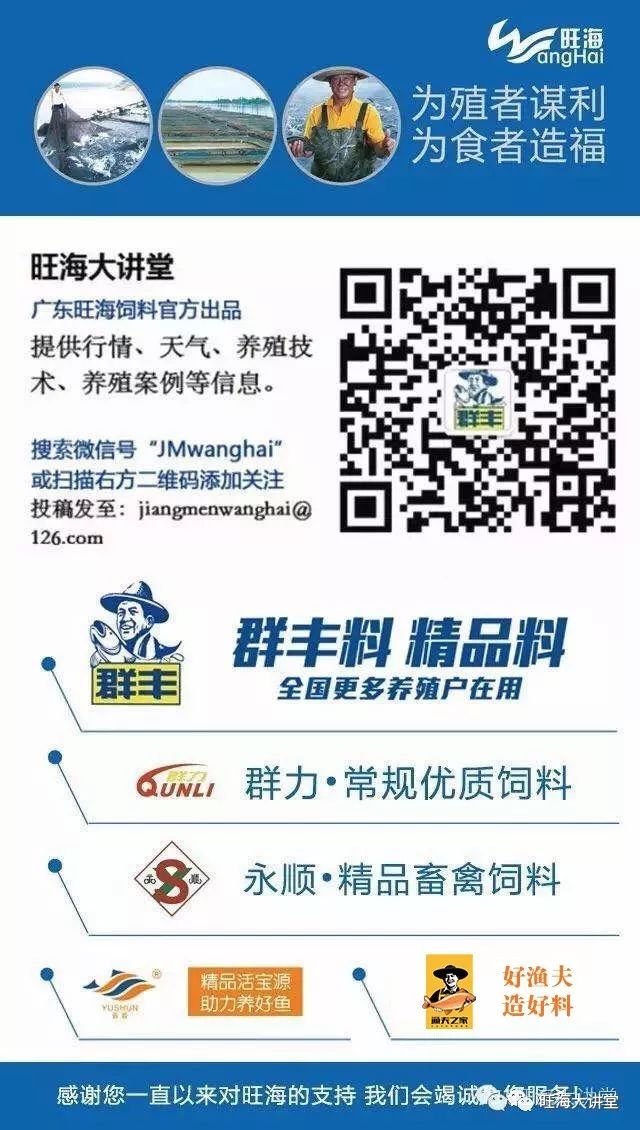 致富经 5000亩_致富经_致富经一亩地赚40万