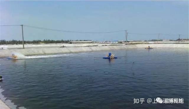 养殖水产国外技术发展现状_水产养殖国外大学排名_国外水产养殖技术
