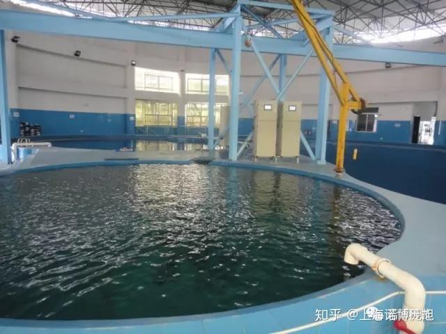 养殖水产国外技术发展现状_国外水产养殖技术_水产养殖国外大学排名