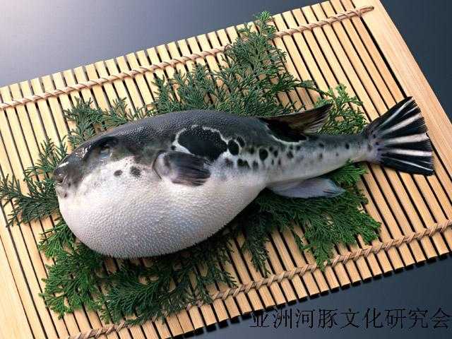 养殖水产国外技术有哪些_国外水产养殖技术_水产养殖国外大学排名