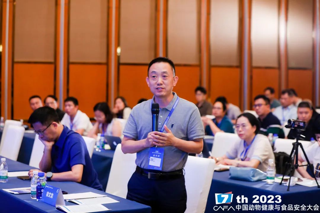 蛋鸡养殖致富之路_致富经养土鸡蛋视频_致富项目养鸡