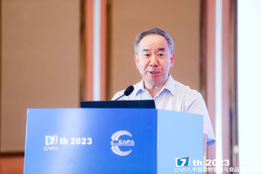 致富项目养鸡_蛋鸡养殖致富之路_致富经养土鸡蛋视频