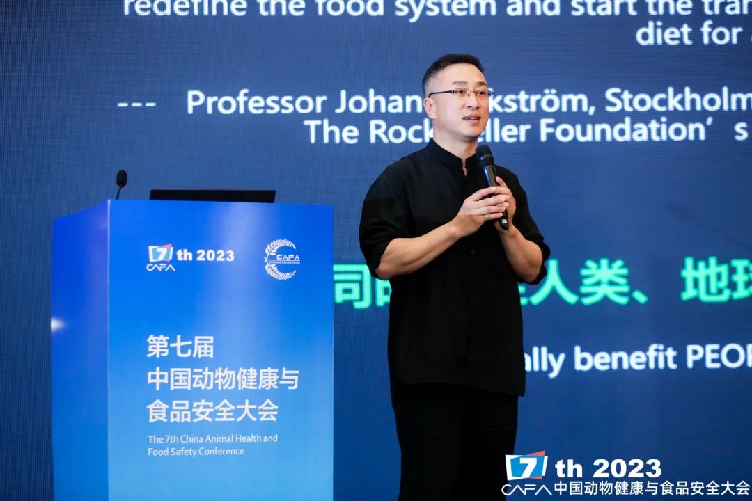 蛋鸡养殖致富之路_致富项目养鸡_致富经养土鸡蛋视频