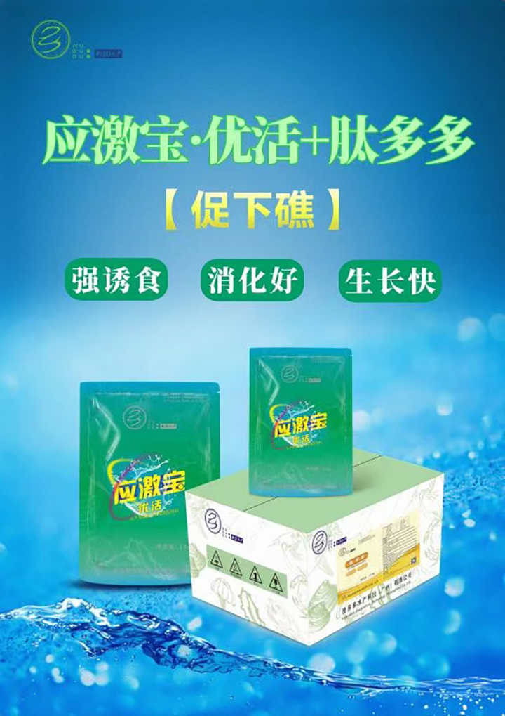 海参养殖水产技术规范_海参养殖技术视频_水产海参养殖技术