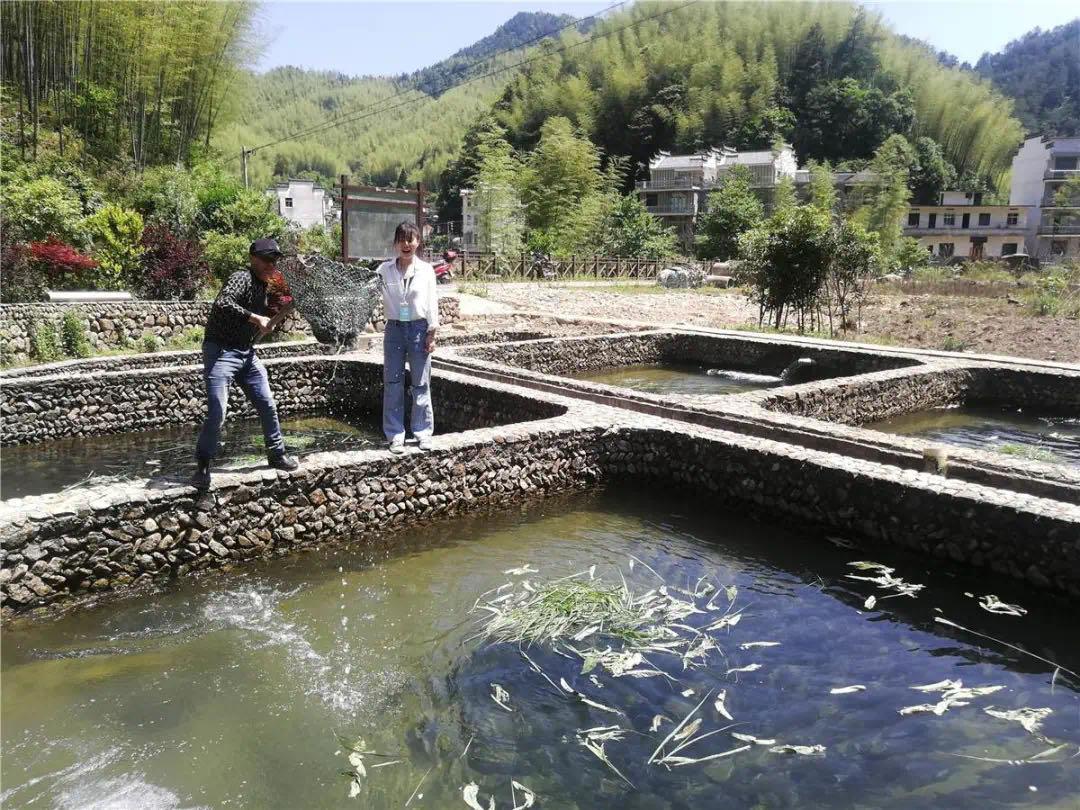 致富经泉水养草鱼_致富经山泉水养殖鱼视频_致富经活水养草鱼视频