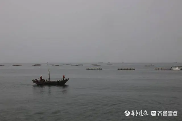 致富养殖黑头项目有哪些_黑头养殖致富项目_养殖黑头鱼