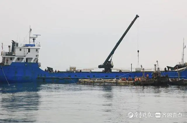养殖黑头鱼_致富养殖黑头项目有哪些_黑头养殖致富项目