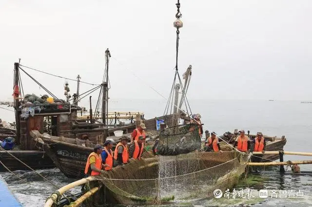 养殖黑头鱼_致富养殖黑头项目有哪些_黑头养殖致富项目