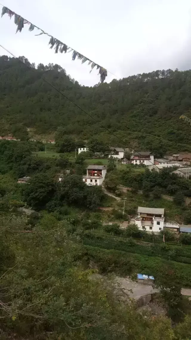 云南鸡脚做法大全_致富经云南高脚鸡_云南鸡脚