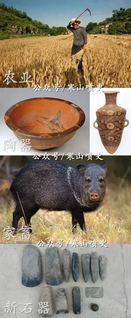 肉狗养殖技术笼养_养殖技术肉狗笼养什么好_笼养肉狗视频