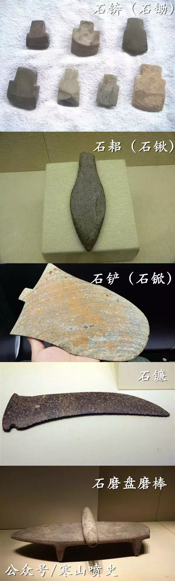 笼养肉狗视频_肉狗养殖技术笼养_养殖技术肉狗笼养什么好