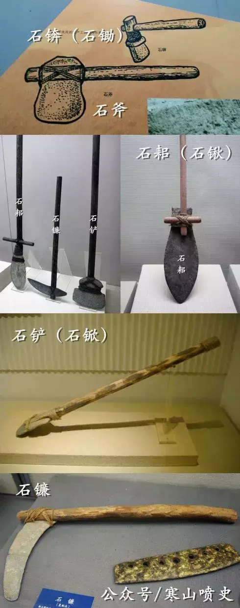 养殖技术肉狗笼养什么好_肉狗养殖技术笼养_笼养肉狗视频