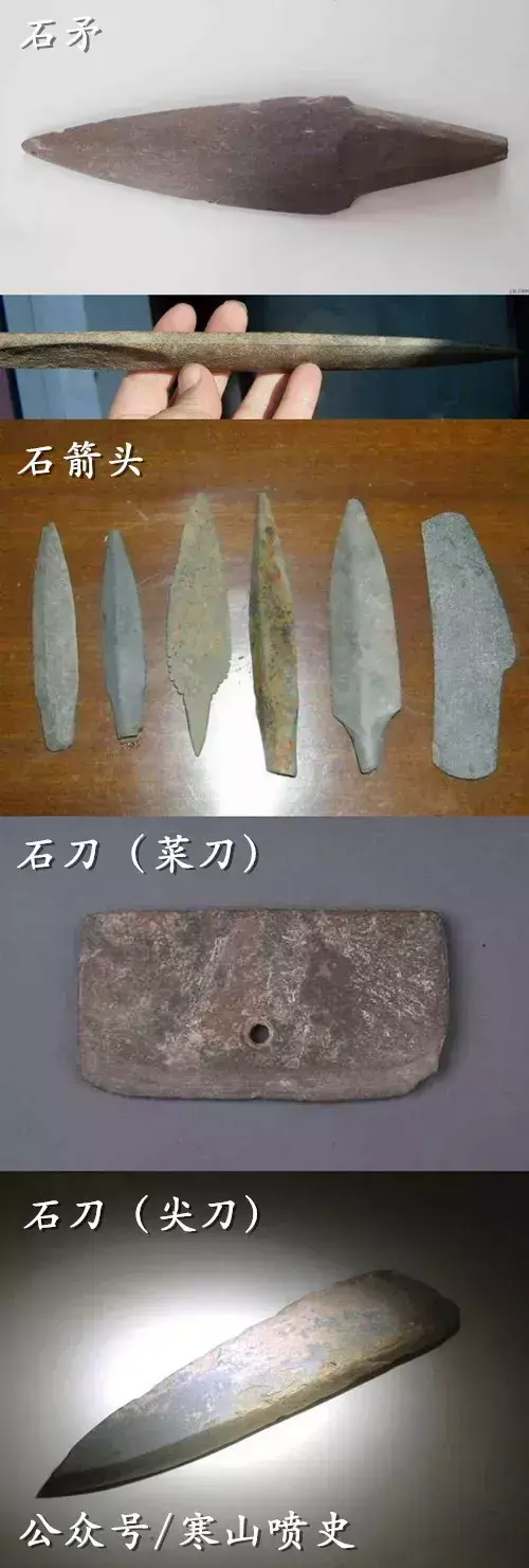 养殖技术肉狗笼养什么好_肉狗养殖技术笼养_笼养肉狗视频