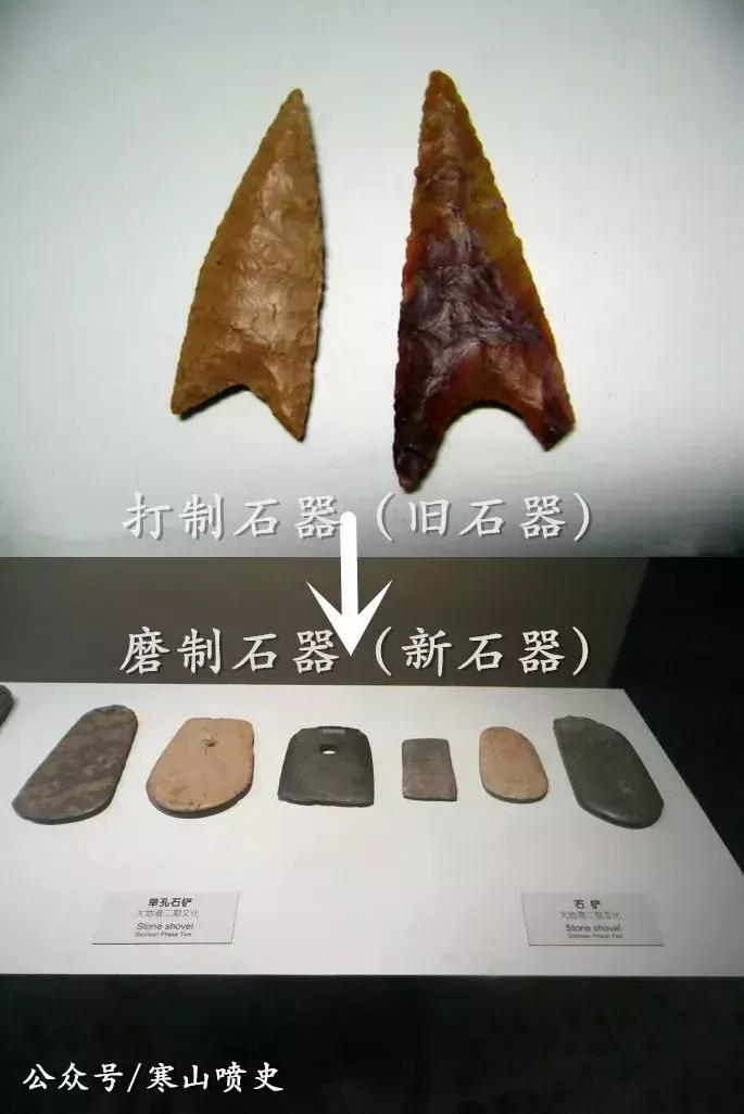 养殖技术肉狗笼养什么好_笼养肉狗视频_肉狗养殖技术笼养