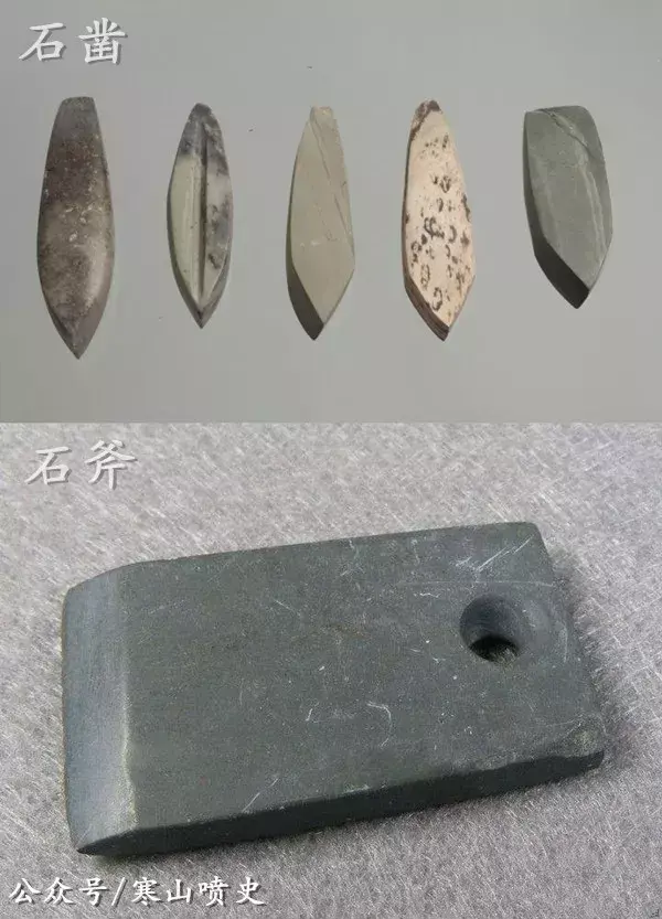 笼养肉狗视频_养殖技术肉狗笼养什么好_肉狗养殖技术笼养