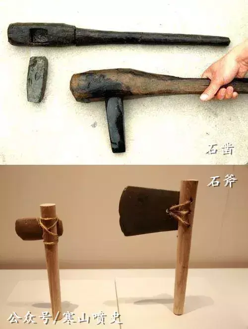 养殖技术肉狗笼养什么好_笼养肉狗视频_肉狗养殖技术笼养