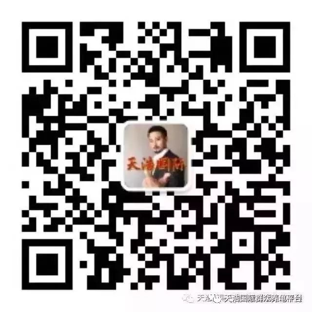 致富经养乌龟_致富经关于养龟_养龟致富视频