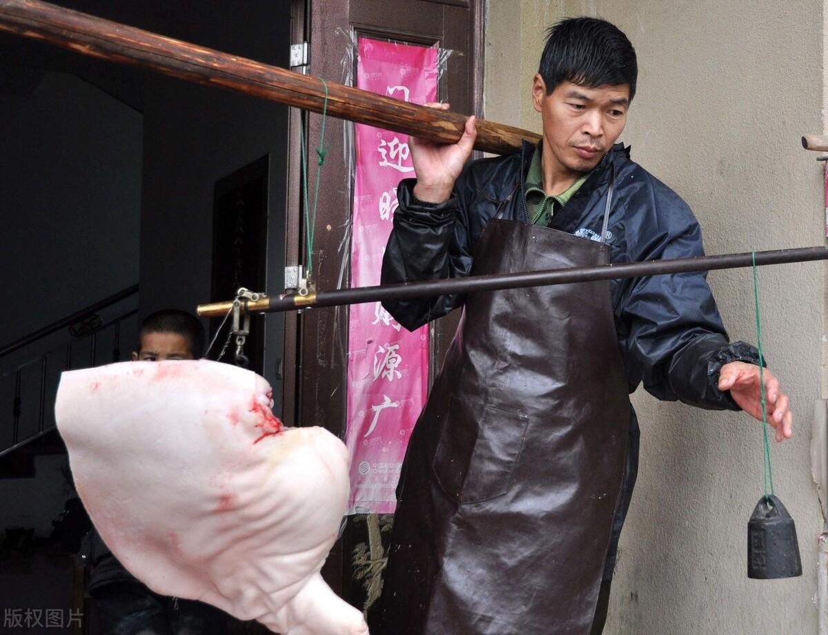 肉狗养殖笼子照片_肉狗养殖技术笼养_养殖技术肉狗笼养什么好