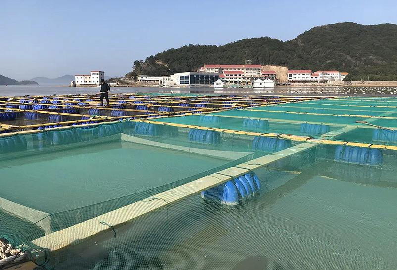 水产养殖掀起“绿色革命”！象山创建省级渔业转型发展先行区工作纪实（中）